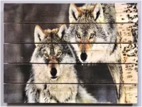 картина "волк и волчица" 30*40 см на дереве ж010, пэм